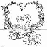 Swan Coloring Pages  ColoringBay sketch template