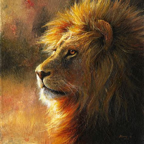 The Focus | Lion of Judah | Wall Art Prints