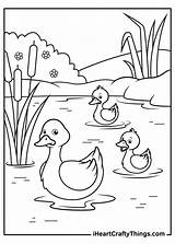 Little Duck Coloring Page Coloring Pages sketch template