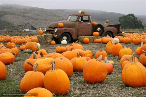 🔥 Free Download Wallpaper Truck Pumpkin Farm Desktop In The by ...