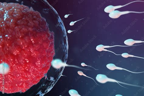 3D illustration sperm and egg cell, ovum. Sperm approaching egg cell ...