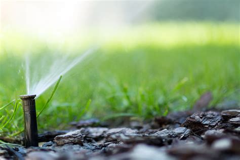 Drip Irrigation vs. a Standard Sprinkler System | Above & Beyond CGM