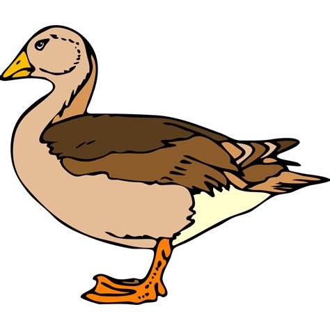 Duck Decoy PNG, SVG Clip art for Web - Download Clip Art, PNG Icon Arts