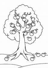 Tree Coloring Pages  Free Printable For Kids sketch template