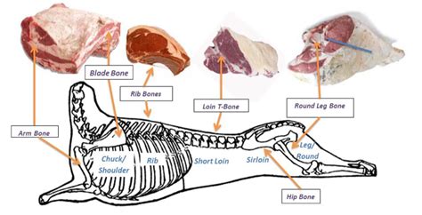 Meat Fabrication Methods — The Culinary Pro