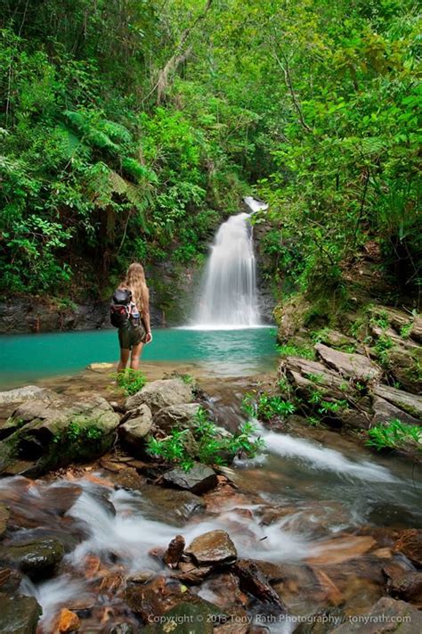 The lower falls of Tiger Fern Falls, Cockscomb Basin Wildlife Sanctuary, #Belize. Photo by ...