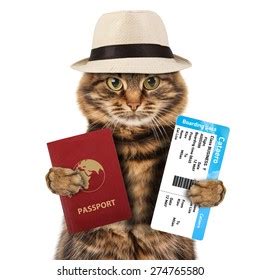 Funny Cat Passport Stock Photo 274765586 | Shutterstock