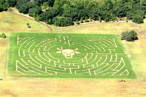 Best Halloween Corn Maze Near Me