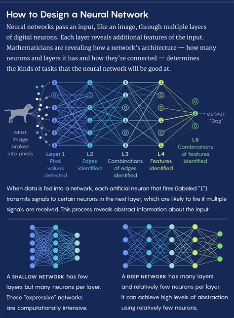 Foundations Built for a General Theory of Neural Networks