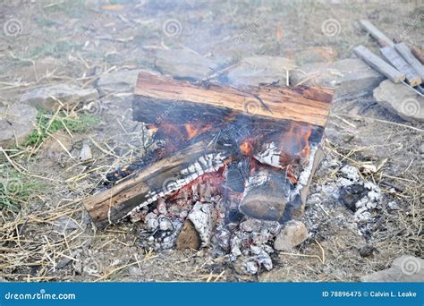 Campfire Burning in the Woods. Stock Image - Image of brush, bark: 78896475