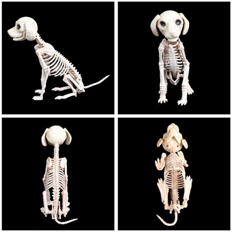 CHEEPUM Skeleton Dog Prop Animal Bones Party Shop Decoration Bead for Kids Building for Kids ...