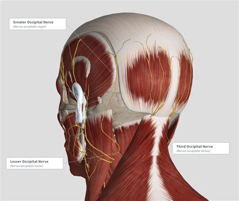 Not all “nerve blocks” for migraine headache pain are the same