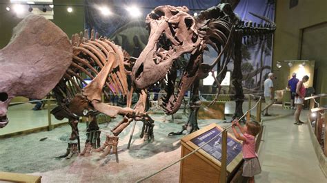 Find hands-on fun at these family-friendly museums