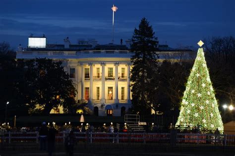 White House Christmas Tree: Festive Facts | Reader's Digest