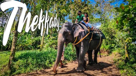 Thekkady | Elephant Ride | Periyar Tiger Reserve - YouTube