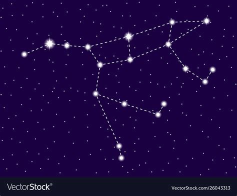 Ursa major constellation starry night sky Vector Image