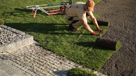 Newly Developed Garden Grass Turfs Installation. Landscaping Industry ...