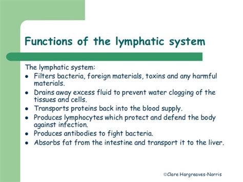 Lymphatic system