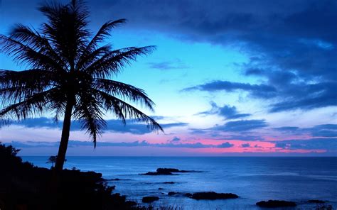 Hawaii Wallpapers - Top Free Hawaii Backgrounds - WallpaperAccess