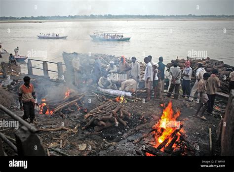 Ganges River Pollution Bodies