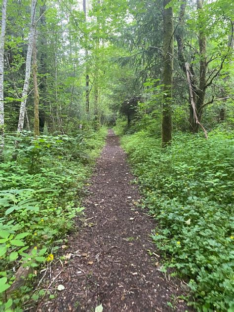 Hiking the Pacific Northwest & Beyond – wild women walking