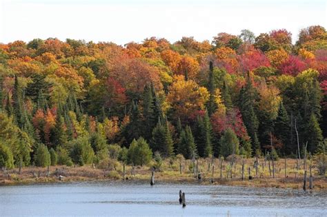 Fall foliage map: Best places to see leaves changing color in Upstate NY | NewYorkUpstate.com