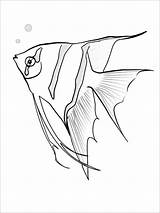 Angelfish Coloring Pages  ColoringBay sketch template
