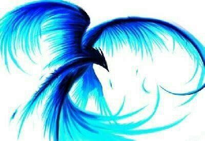 Ice Phoenix | Wiki | Mythology & Cultures Amino