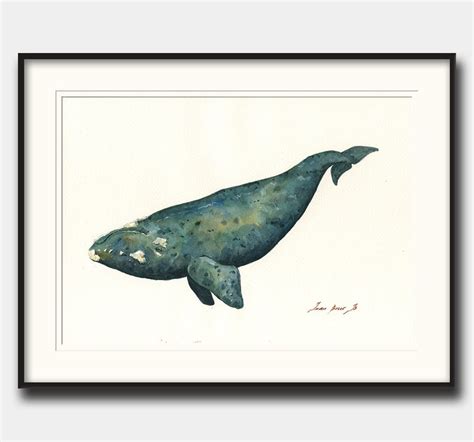 Right Whale Print Right Whale Artwork Art Print Watercolor - Etsy