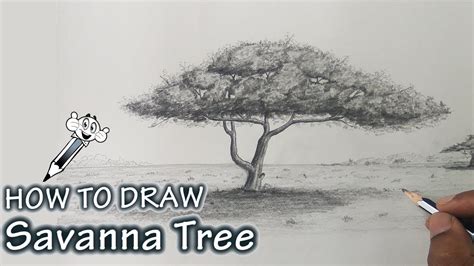 How To Draw A Savanna