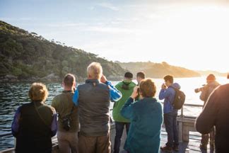 Stewart Island Ferry: Bluff to Oban – Daily Scenic Crossings