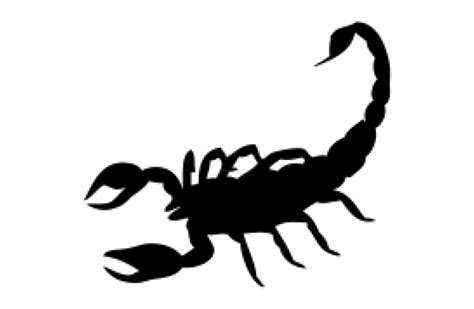 Free Silhouette Scorpion, Download Free Silhouette Scorpion png images ...