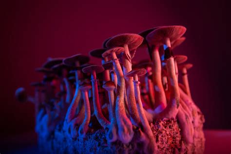 7 Interesting Facts About Psychedelic Drugs – Fonsly