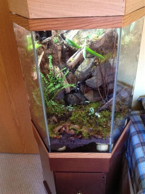 60 Gallon Reptile Terrarium