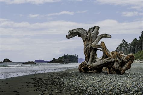 Ruby Beach — Washington Trails Association