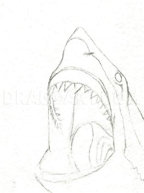 How To Draw A Shark Head, Step by Step, Drawing Guide, by finalprodigy | dragoart.com | Bocetos ...