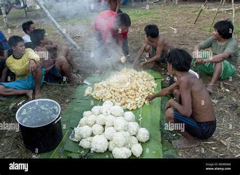 Ariel Star: The Yanomami Tribes