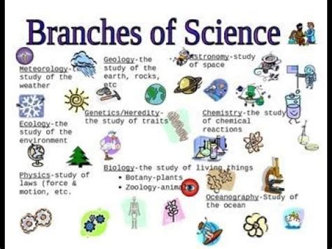 BRANCHES OF SCIENCE. Did you know.LESSON 3: - YouTube