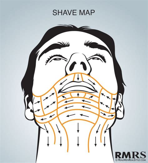 Shave Maps Infographic | How To Shave Correctly | Which Direction Do ...