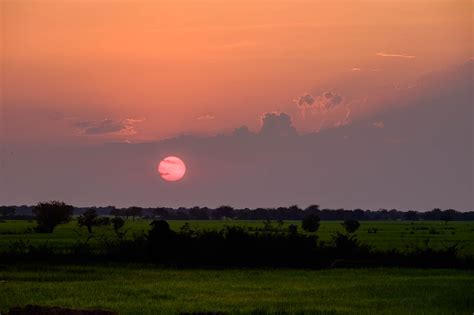 Sunset over rice fields - Cambodia