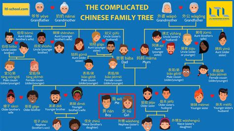 Chinese Family Tree - LTL Language School