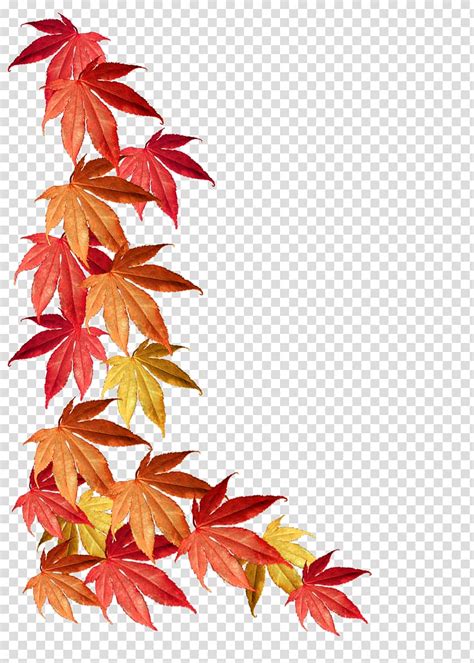 Red leaf, Borders and Frames Maple leaf Autumn leaf color, autumn leaves transparent background ...