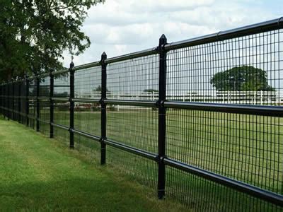 Welded Wire Fence for Pasture, Cattle, Pig, Horse, Sheep Fence