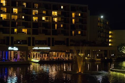 JW Marriott Desert Springs Resort & Spa Wedding Photos — Michelle Johnson Photography