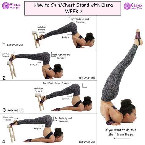 CHIN AND CHEST STAND A B C COURSE – CLASS 2 – Elena Miss Yoga