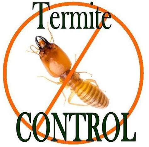 Termite Control