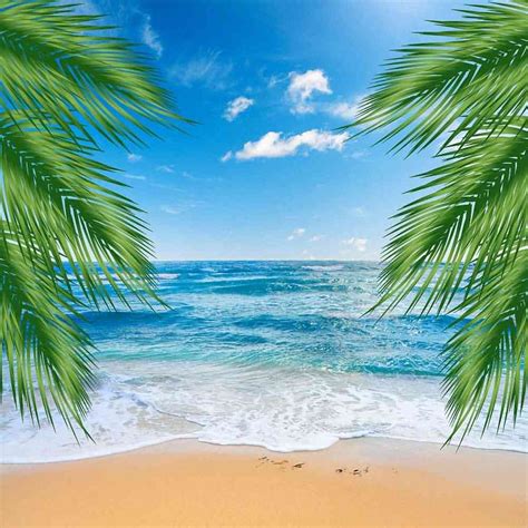 Beautiful Beach Computer Printed Photography Backdrop ZJZ-752 | Beach ...