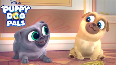 Series Trailer | Puppy Dog Pals | Disney Junior - YouTube