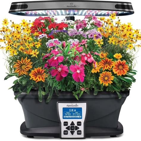 How to Grow Flowers with AeroGarden - Full Guide