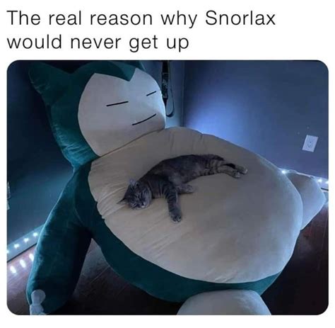 The best Snorlax memes :) Memedroid